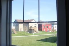 View looking out of a Vector window to the backyard