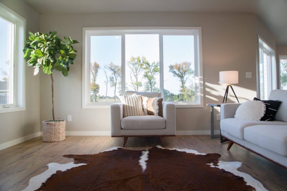 Quality Doors And Windows | Vector Windows